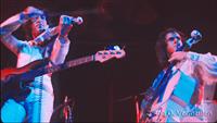 Live Shots